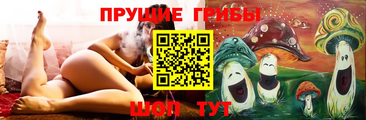 Старая Купавна  Псилоцибиновые грибы MAGIC MUSHROOMS  Вход с VPN 